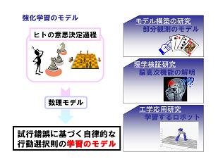 Study model of autonomous action selection rule based on trial and error