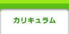 カリキュラム